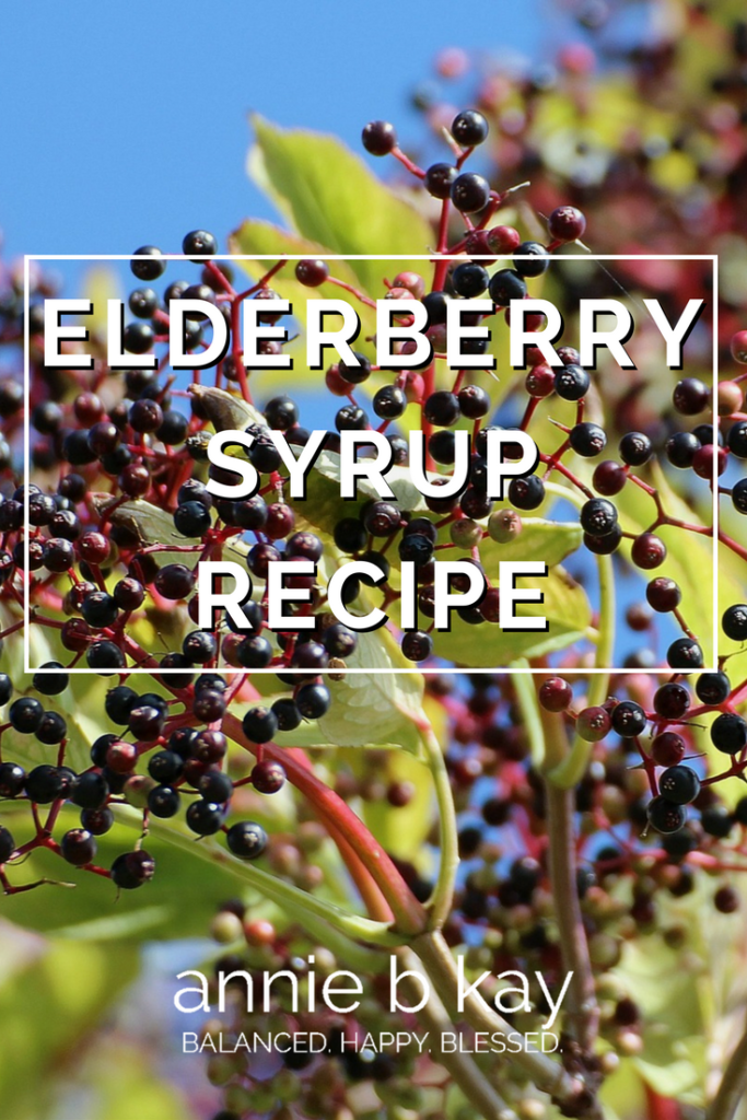 Elderberry Syrup Recipe by Annie B Kay - anniebkay.com