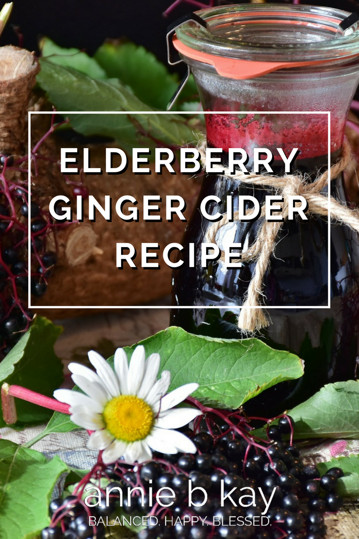 Elderberry Ginger Cider Recipe by Annie B Kay - anniebkay.com