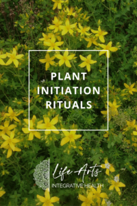 Plant Initiation Rituals by Annie B Kay 735x1102
