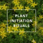 Plant Initiation Rituals by Annie B Kay Pinterest