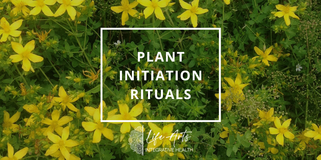 Plant Initiation Rituals