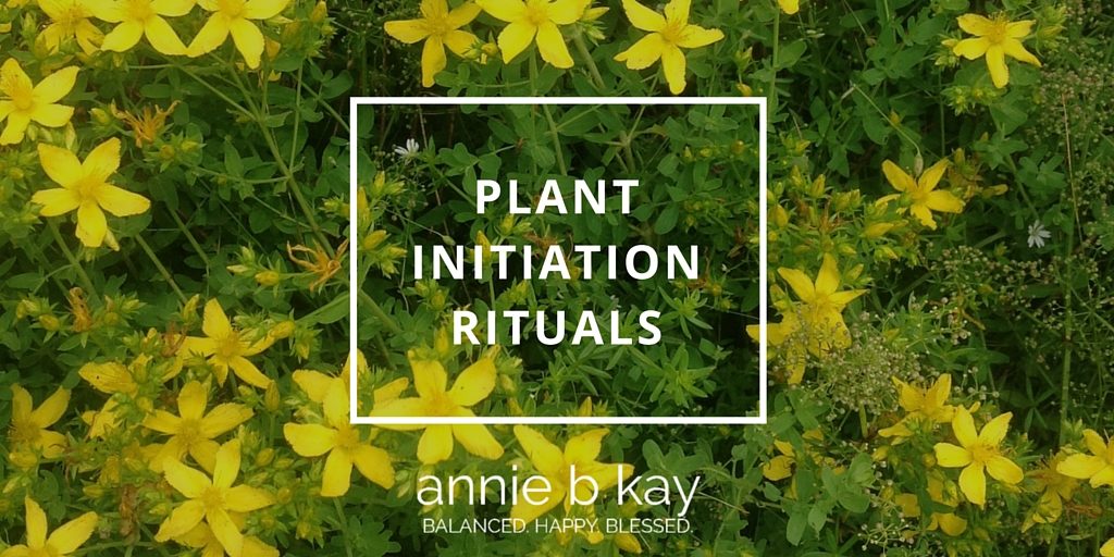 Plant Initiation Rituals by Annie B Kay - anniebkay.com