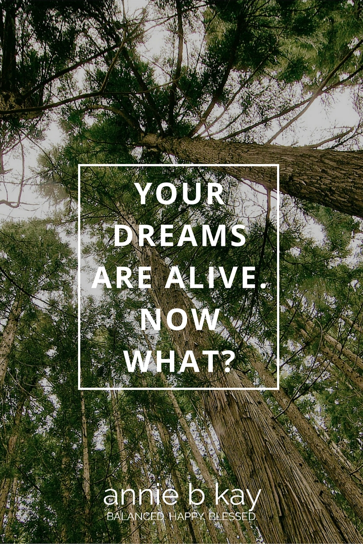 Your Dreams are Alive. Now What?