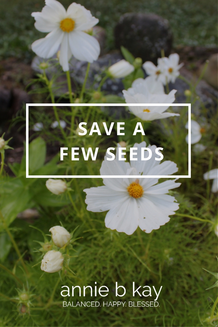 Save a Few Seeds