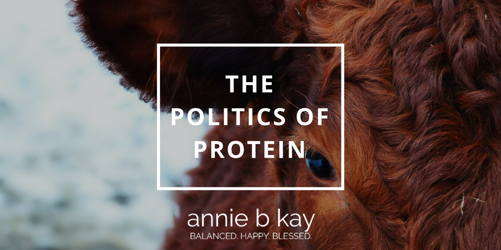 The Politics of Protein by Annie B Kay