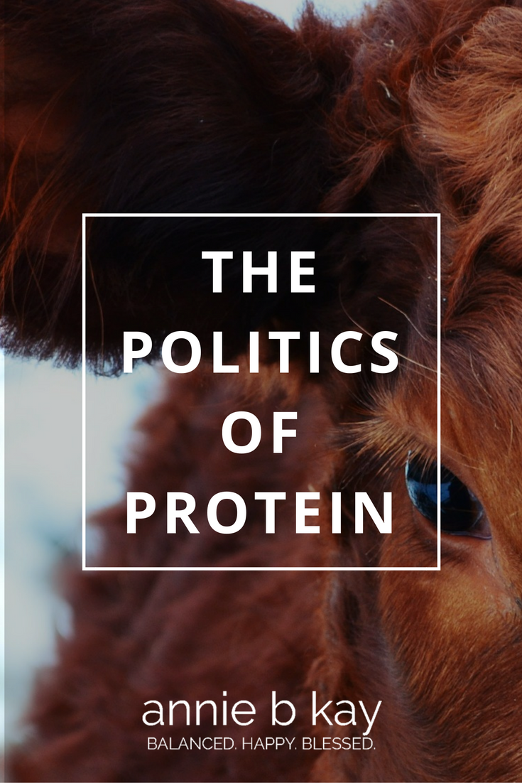 The Politics of Protein by Annie B Kay