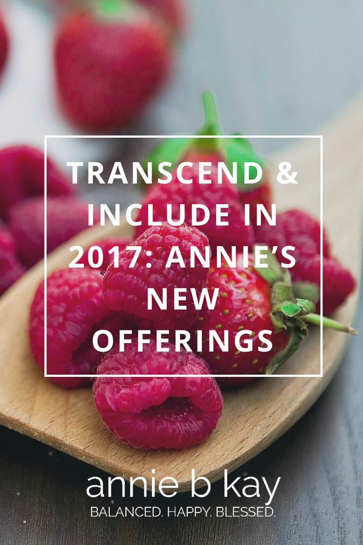 Transcend & Include in 2017: Annie's New Telehealth Offerings