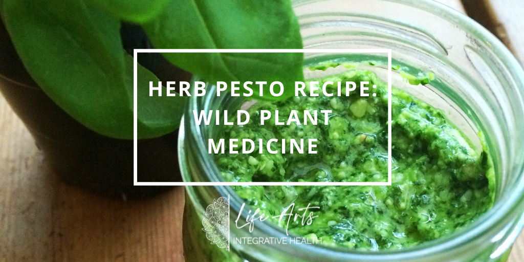Herb Pesto Recipe Wild Plant Medicine Annie B Kay