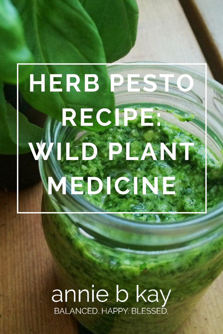 Herb Pesto Recipe: Wild Plant Medicine