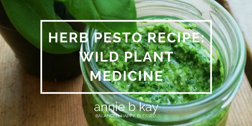 Herb Pesto Recipe- Wild Plant Medicine by Annie B Kay - anniebkay.com