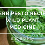 Herb Pesto Recipe- Wild Plant Medicine by Annie B Kay - anniebkay.com
