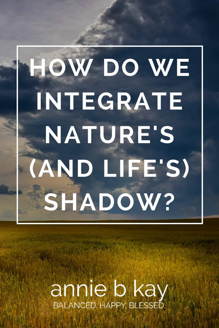 How Do We Integrate Nature's (and Life's) Shadow?