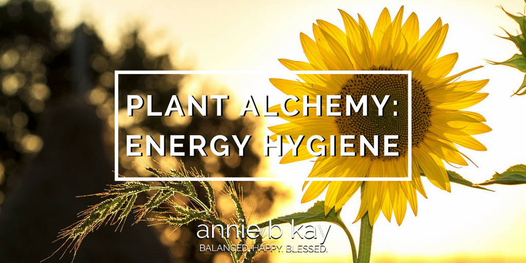 Plant Alchemy: Energy Hygiene by Annie B Kay - anniebkay.com