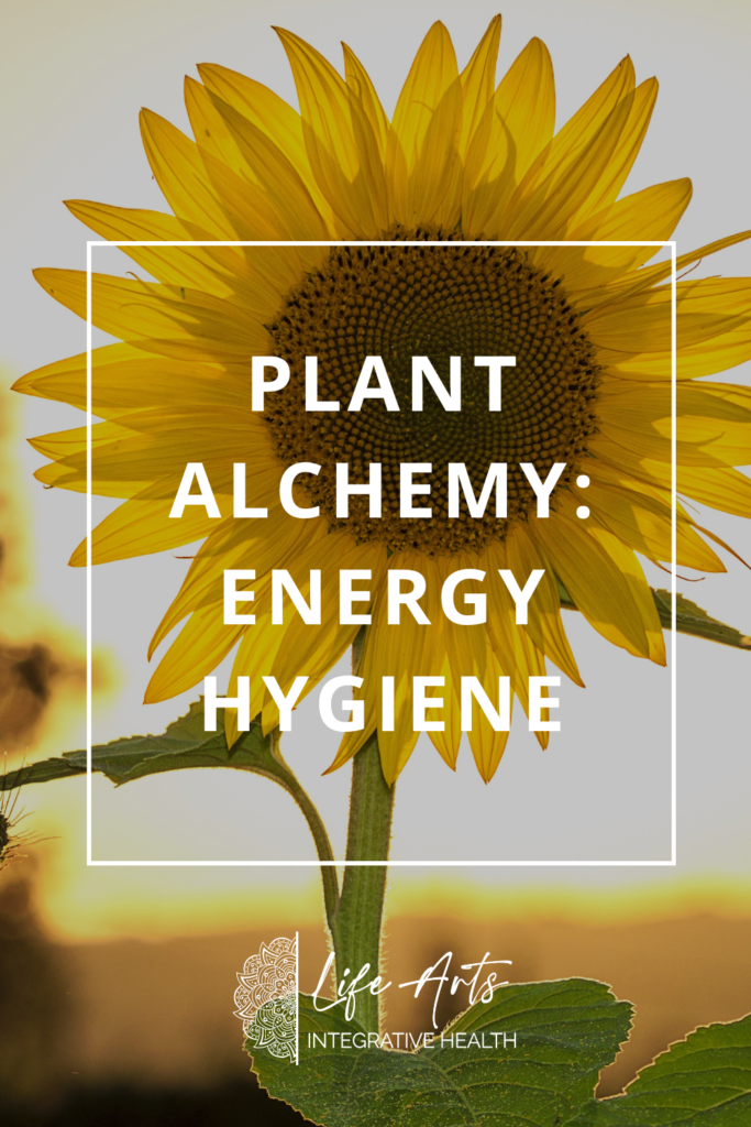 Plant Alchemy Energy Hygiene by Annie B Kay (Pinterest Pin (1000 × 1500 px))