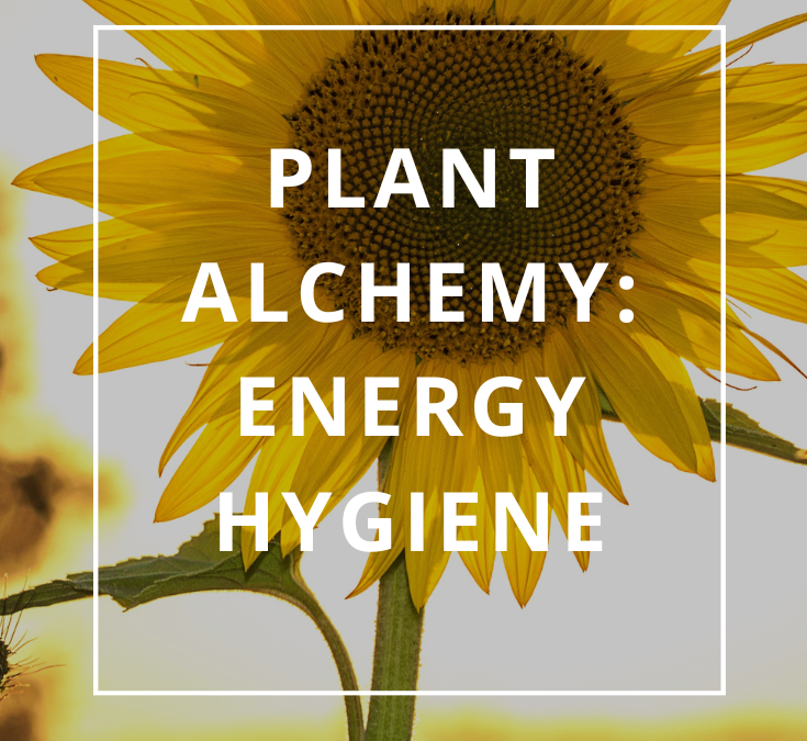 Plant Alchemy Energy Hygiene by Annie B Kay (Pinterest Pin (1000 × 1500 px)) (735 × 1102 px)