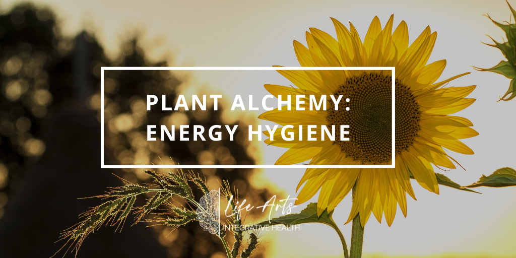 Plan Alchemy Energy Hygiene