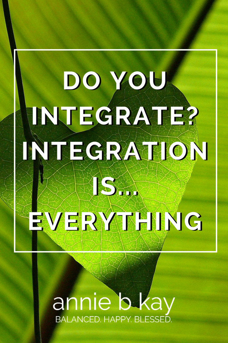 Do You Integrate? Integration is...Everything by Annie B Kay - anniebkay.com