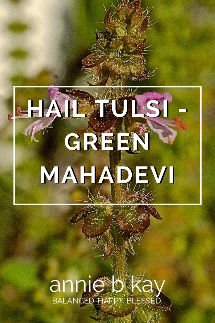 Hail Tulsi – Green Mahadevi