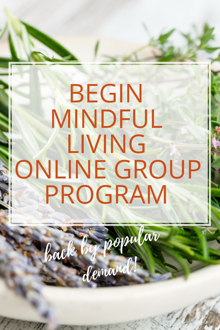 Practice Finding Peace – Begin Mindful Living Online Group