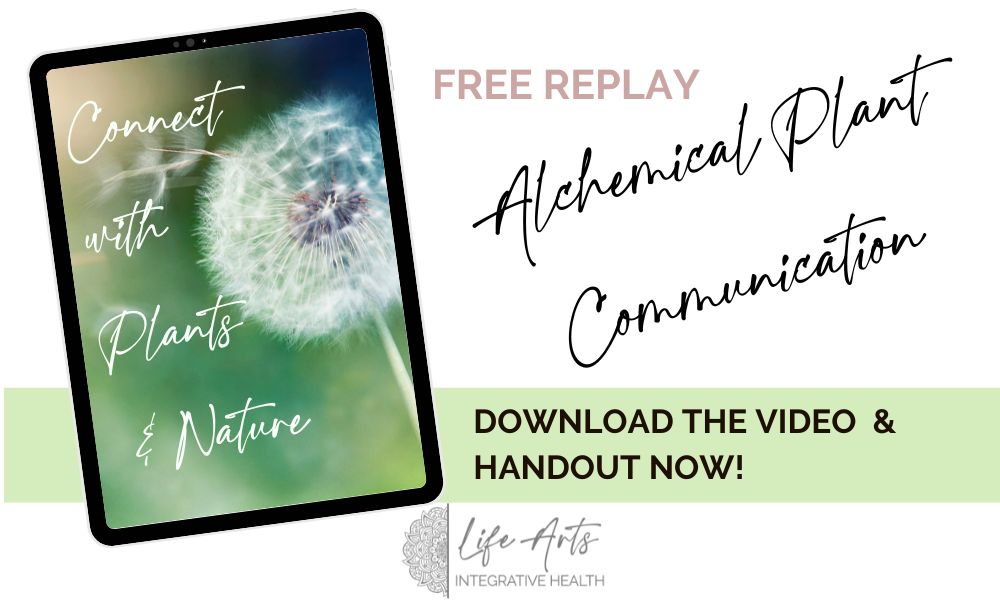 Annie B Kay free download plant communicaiton