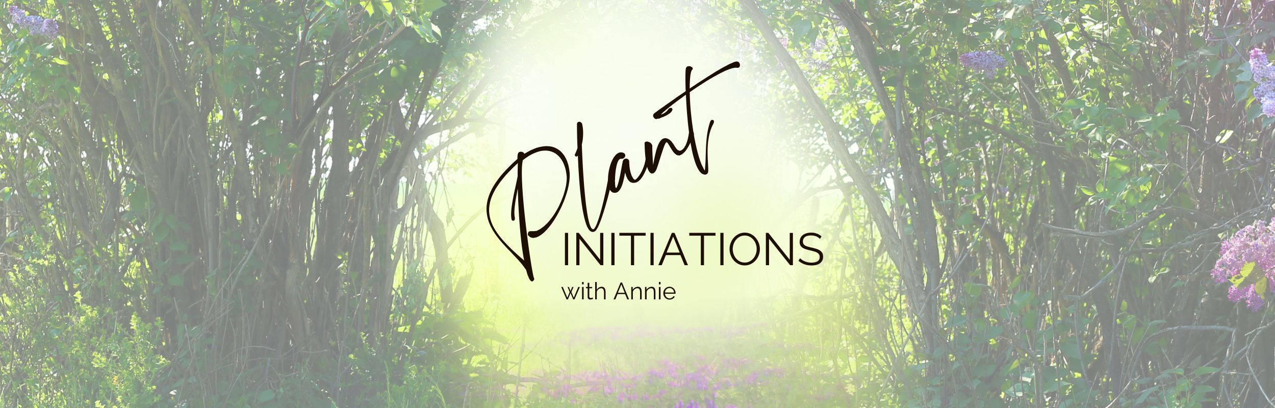 Plant Initiations Annie B Kay