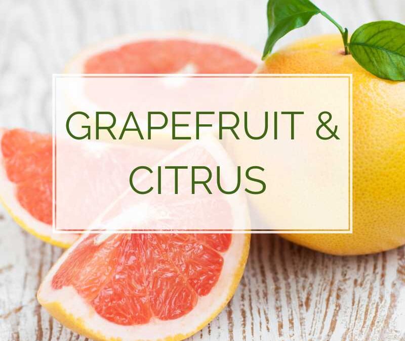 Grapefruit & Citrus bright balancers Annie B Kay